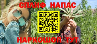 СК Донецк