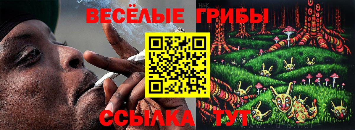 Псилоцибиновые грибы мицелий Ишим
