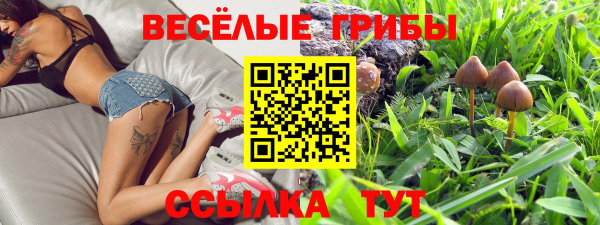 Псилоцибиновые грибы GOLDEN TEACHER  Вход с VPN  наркота  Псилоцибиновые грибы ЛСД  Ишим 